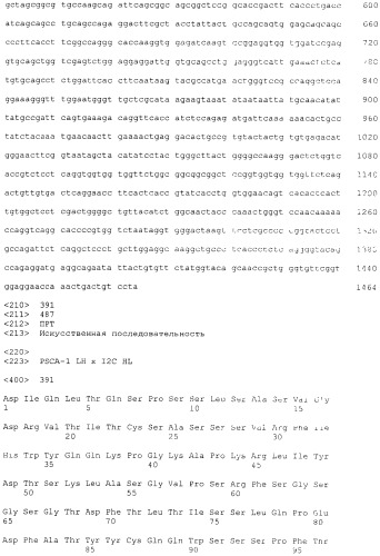 Pscaxcd3, cd19xcd3, c-metxcd3, эндосиалинxcd3, epcamxcd3, igf-1rxcd3 или fap-альфаxcd3 биспецифическое одноцепочечное антитело с межвидовой специфичностью (патент 2547600)