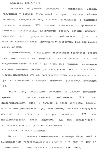 Продление времени до прогрессирования заболевания или продолжительности жизни у онкологических больных с применением ингибиторов димеризации her (патент 2404806)