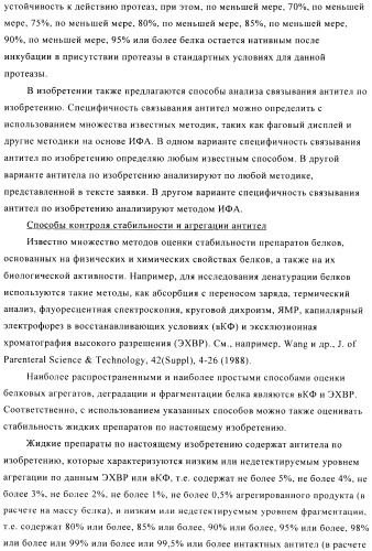 Стабилизированные антитела против ангиопоэтина-2 и их применение (патент 2509085)