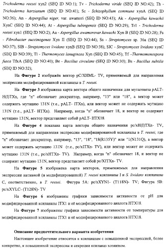 Модифицированная ксиланаза (патент 2394909)