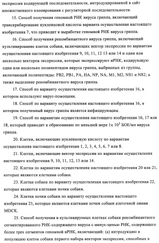 Способы и композиции для экспрессии антисмысловой вирусной рнк в клетках собаки (патент 2457250)