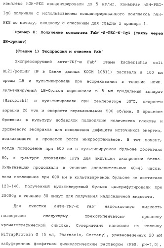 Физиологически активный полипептидный конъюгат, обладающий пролонгированным периодом полувыведения in vivo (патент 2312868)