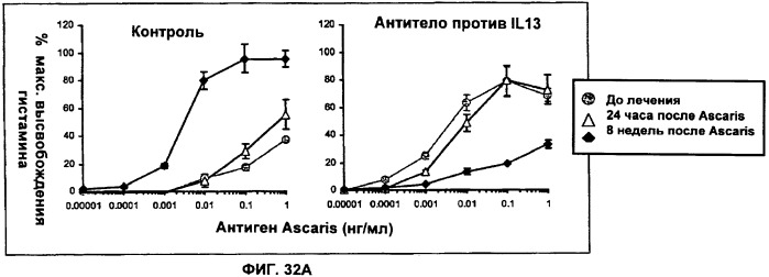 Антитела против интерлейкина-13 человека и их применение (патент 2427589)