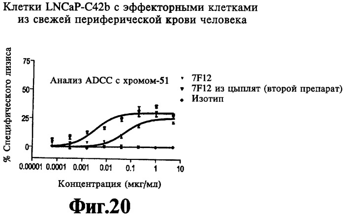 Выделенное антитело против специфического мембранного антигена простаты (psma) и способ ингибирования роста клеток, экспрессирующих psma (патент 2421466)