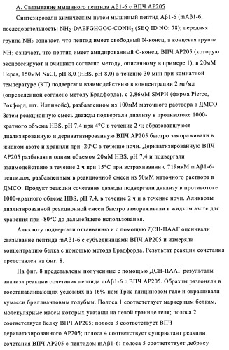 Композиции вакцин, содержащие наборы антигенов в виде амилоида бета 1-6 (патент 2450827)