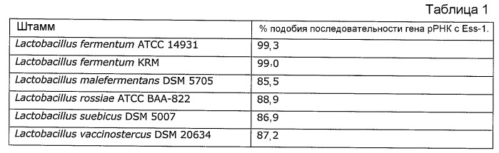 Lactobacillus fermentum ess-1, dsm17851, и его применение для лечения и/или профилактики кандидоза и инфекций мочевых путей (патент 2413761)