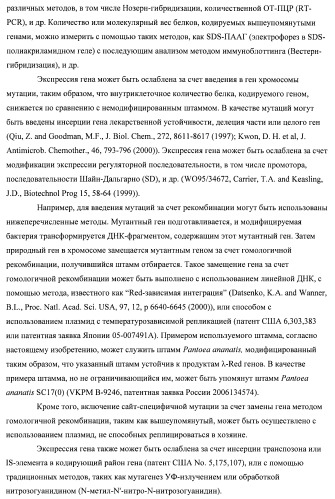 Бактерия семейства enterobacteriaceae - продуцент l-аспарагиновой кислоты или метаболитов, производных l-аспарагиновой кислоты, и способ получения l-аспарагиновой кислоты или метаблитов, производных l-аспарагиновой кислоты (патент 2472853)