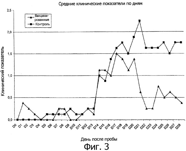 Вакцинная композиция и способ индуцирования иммунологического ответа у животного (патент 2354399)