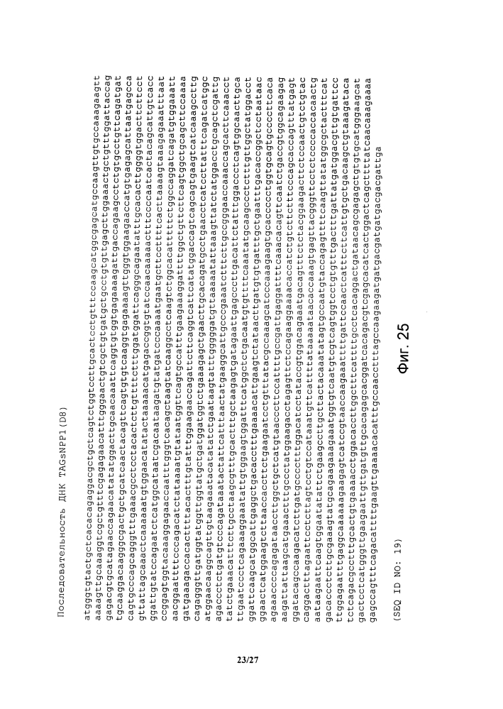 Гибридные белки npp1 (патент 2601154)