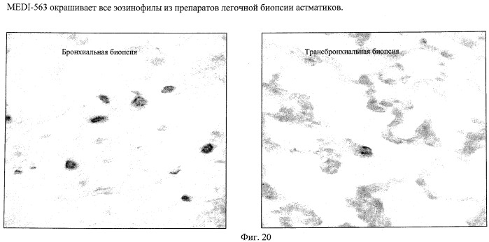 Способы снижения числа эозинофилов (патент 2519227)