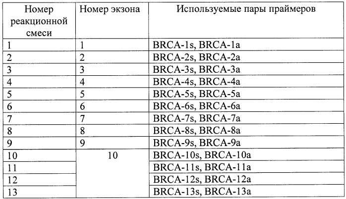 Набор синтетических олигонуклеотидов для определения нуклеотидной последовательности кодирующей части гена brca1 и выявления мутаций, ассоциированных с наследственными формами рака молочной железы (патент 2440415)