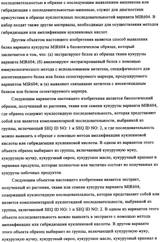 Вариант кукурузы mir604 (патент 2351122)