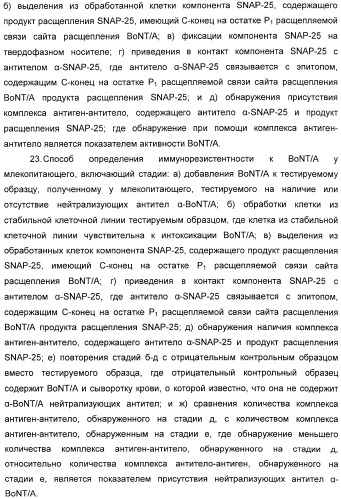 Иммунологические анализы активности ботулинического токсина серотипа а (патент 2491293)