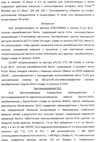 Соединения, воздействующие на глюкокиназу (патент 2329043)