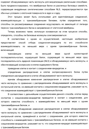 Способ идентификации соединений, взаимодействующих с трансмембранными белками (патент 2326166)