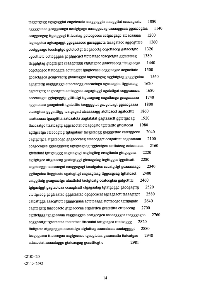 Способ молекулярной диагностики митохондриальных патологий на основе технологии пиросеквенирования (патент 2633752)