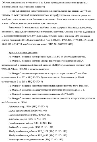 Бактерия семейства enterobacteriaceae - продуцент l-аспарагиновой кислоты или метаболитов, производных l-аспарагиновой кислоты, и способ получения l-аспарагиновой кислоты или метаблитов, производных l-аспарагиновой кислоты (патент 2472853)