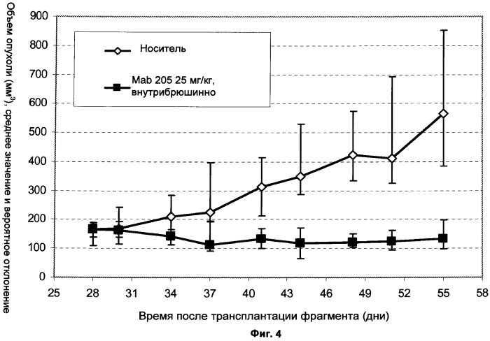 Антитела к her3 и их применения (патент 2560583)