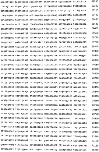 Бактериофаг, обладающий активностью против pseudomonas aeruginosa, белки бактериофага и способы их применения (патент 2580248)