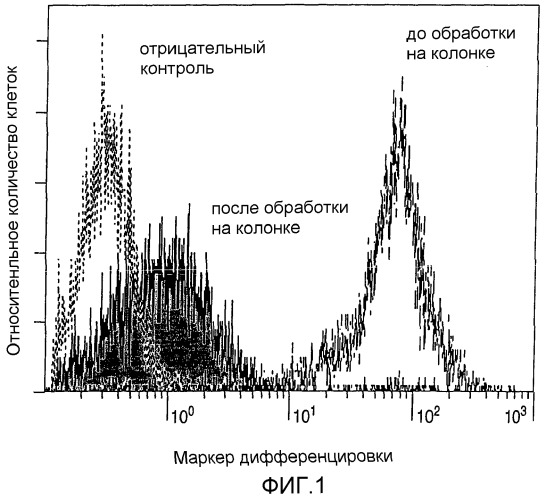 Способ размножения кроветворных стволовых клеток (патент 2297451)