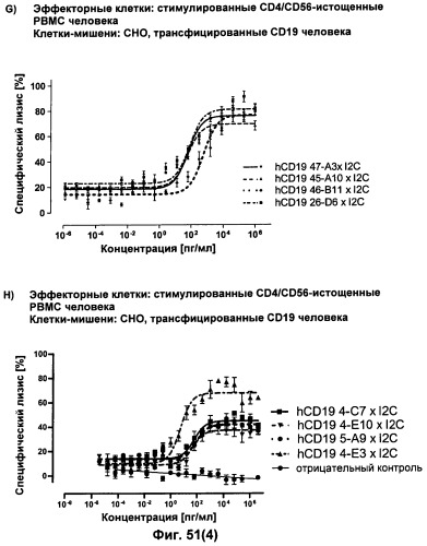 Pscaxcd3, cd19xcd3, c-metxcd3, эндосиалинxcd3, epcamxcd3, igf-1rxcd3 или fap-альфаxcd3 биспецифическое одноцепочечное антитело с межвидовой специфичностью (патент 2547600)