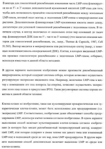 Молекулы нуклеиновых кислот, кодирующие wrinkled1-подобные полипептиды, и способы их применения в растениях (патент 2385347)