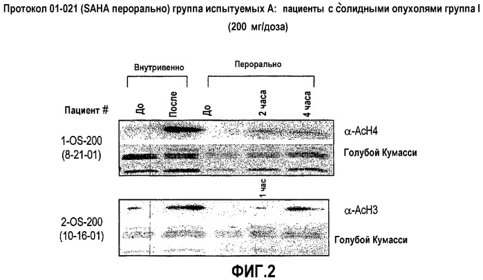 Способы лечения рака с использованием ингибиторов hdac (патент 2356547)