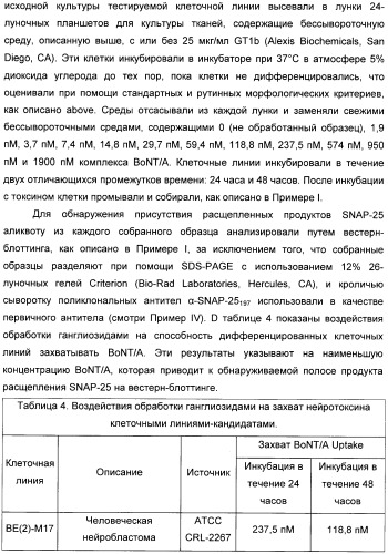 Иммунологические анализы активности ботулинического токсина серотипа а (патент 2491293)