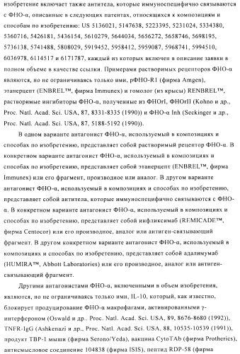 Стабилизированные антитела против ангиопоэтина-2 и их применение (патент 2509085)