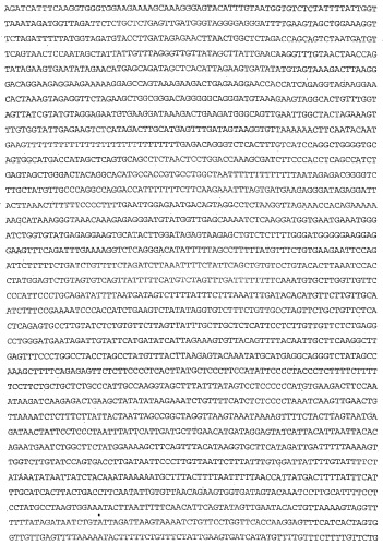 Применение s1p (патент 2362565)