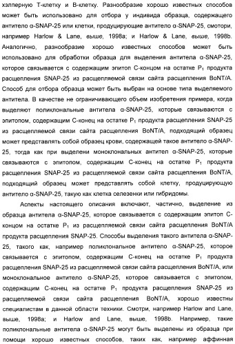 Иммунологические анализы активности ботулинического токсина серотипа а (патент 2491293)