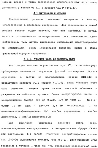 Поликлональное антитело против nogo, фармацевтическая композиция и применение антитела для изготовления лекарственного средства (патент 2432364)