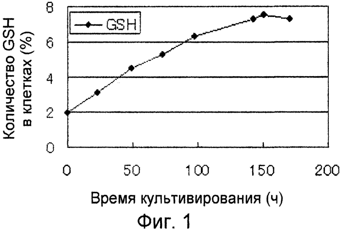 Дрожжи, имеющие повышенное содержание серосодержащего соединения, способ отбора таких дрожжей и способ их культивирования (патент 2557292)