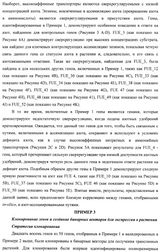 Изолированные полипептиды, кодирующие их полинуклеотиды, экспрессирующие их трансгенные растения и способы их использования (патент 2487166)
