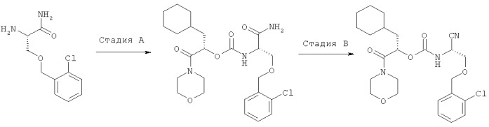 Гетероциклические соединения и фармацевтические композиции как ингибиторы катепсина s (патент 2424239)