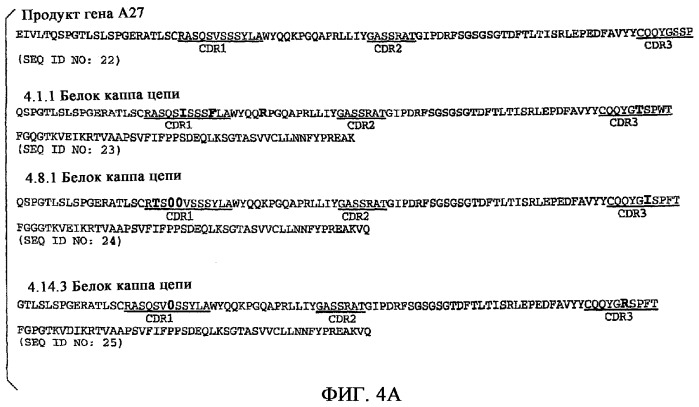 Применение антител к ctla-4 (патент 2346702)