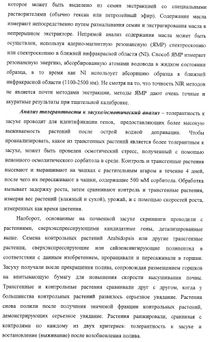 Изолированные полипептиды, кодирующие их полинуклеотиды, экспрессирующие их трансгенные растения и способы их использования (патент 2425151)