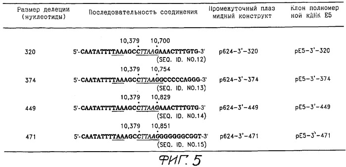 Инфекционные клоны полномерной кднк клещевого флавивируса (патент 2288266)