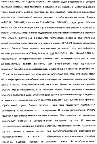 Выделенный полипептид, связывающий рецептор zalpha11-лиганда (варианты), кодирующий его полинуклеотид (варианты), вектор экспрессии (варианты) и клетка-хозяин (варианты) (патент 2346951)