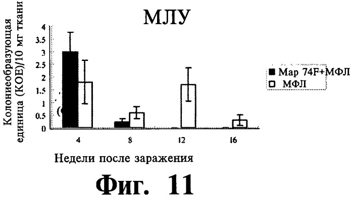 Фармацевтическая композиция и способ стимулирования иммунного ответа к мусоbacterium avium подвида paratuberculosis (патент 2489165)