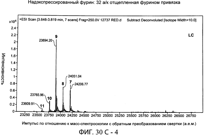 Содержащие суперспираль и/или привязку белковые комплексы и их применение (патент 2573915)