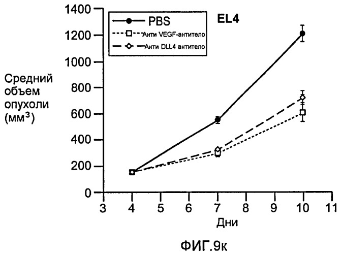 Антитела против dll4 и способы их применения (патент 2415869)