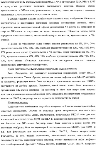 Моноклональные антитела против nkg2a (патент 2481356)