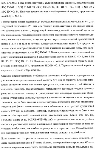 Растения, имеющие улучшенные характеристики роста, и способы их получения (патент 2463352)