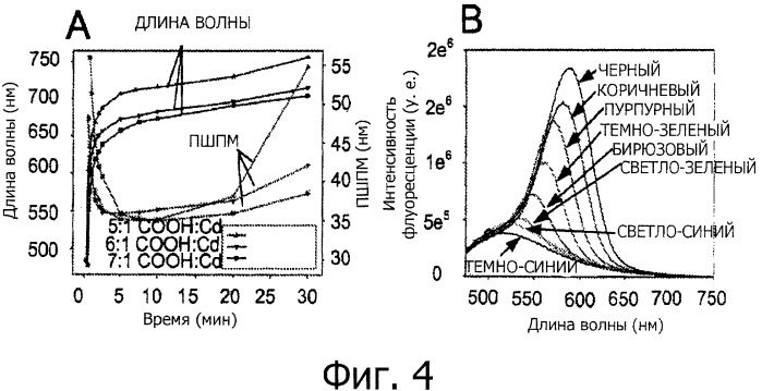 Квантовые точки, способы получения квантовых точек и способы использования квантовых точек (патент 2497746)