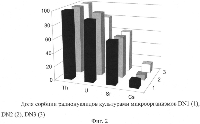 Способ переработки нитратсодержащих жидких радиоактивных отходов (патент 2552845)