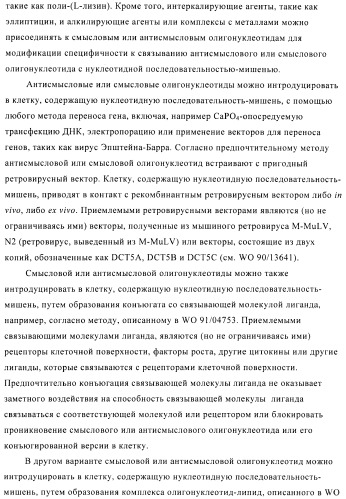 Композиции и способы диагностики и лечения опухоли (патент 2423382)