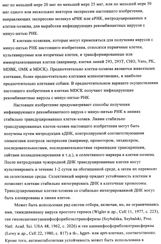 Способы и композиции для экспрессии антисмысловой вирусной рнк в клетках собаки (патент 2457250)