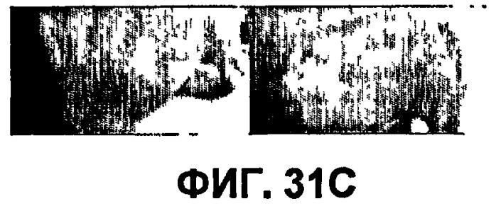 Конъюгаты rgd-пептидов и фотосенсибилизаторов порфирина или (бактерио)хлорофилла и их применение (патент 2450018)