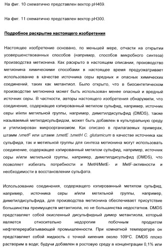 Применение диметилдисульфида для продукции метионина микроорганизмами (патент 2413001)